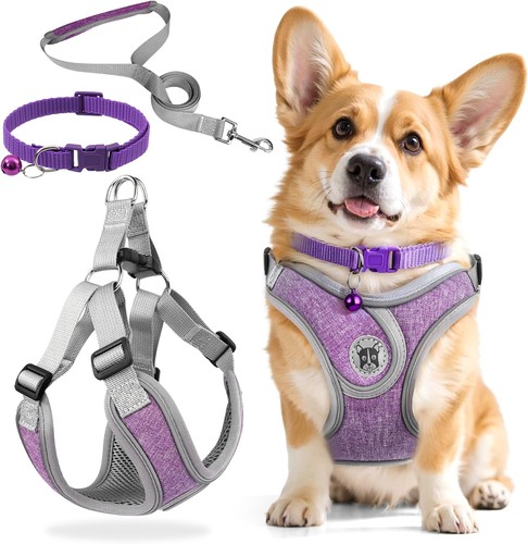 Stück hundegeschirr und - 3,