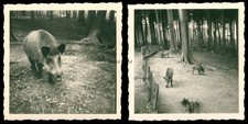 2 x Wildpark Düsseldorf
