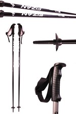 Skistöcke Fizan Action Ski