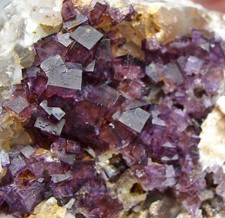 FLUORIT mit Baryt auf Quarz