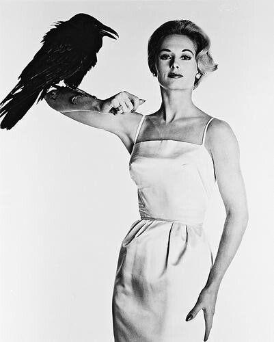 Tippi hedren vögel - tippi,