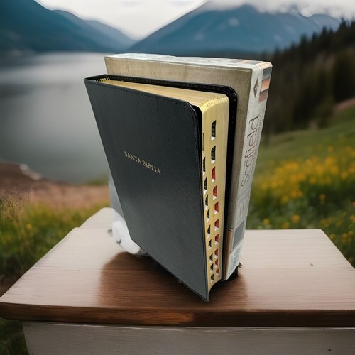 Rvr 1960 neue studienbibel - rvr,