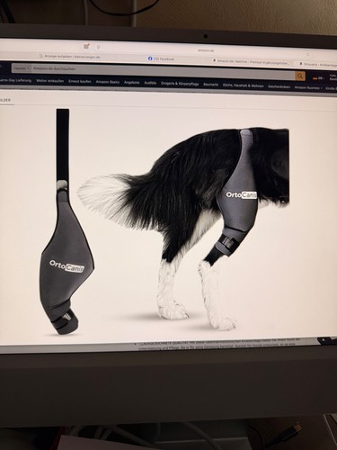 Ortocanis kniebandage für das - ortocanis,