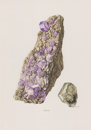Apatit farbdruck 1967 - farbdruck,