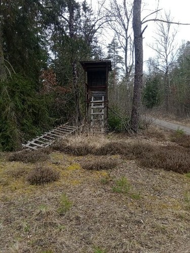Jagdkanzel hochsitz - jagdkanzel,,