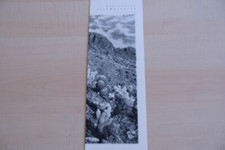 207411) Jeep Wrangler -