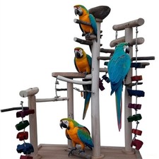 Kletterbaum "Sigma" Freisitz