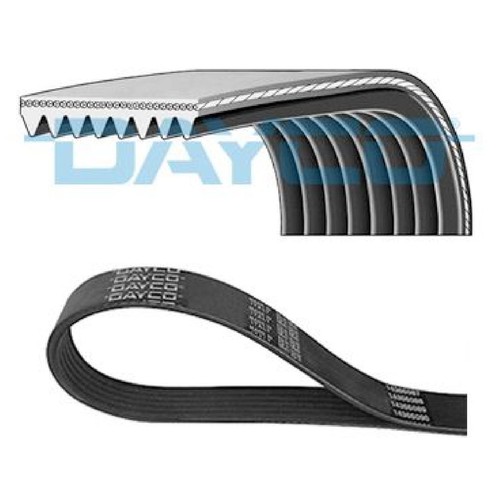 Dayco keilrippenriemen - dayco,