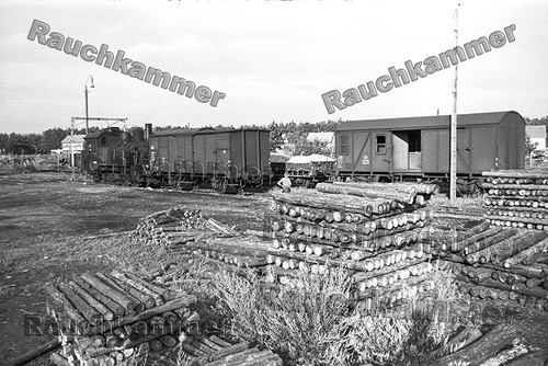 Fotoabzug 10x15 98 1005 - pe-fotoabzug,
