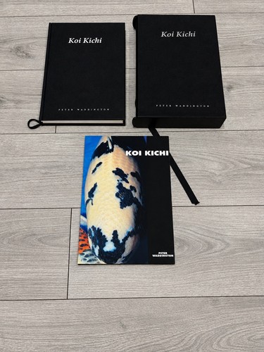Koi kichi deluxe limited - kichi,
