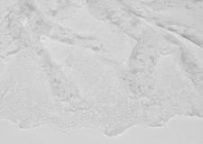 Spitzenstoff Tüllspitze