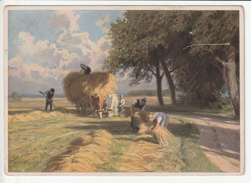 Paul hey erntezeit - ,