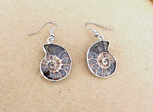Ammonit fossil ohrringe - fossil,