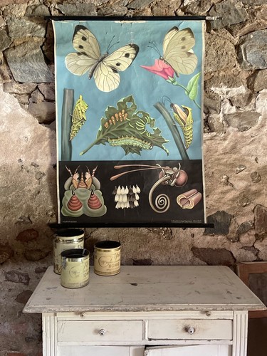 Vintage schulwandkarte - vintage,