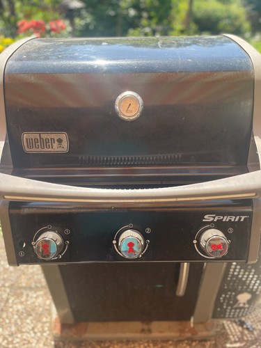 Gasgill weber spirit mit - gasgill,