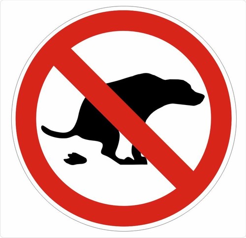 Kein hundeklo hundehaufen kot - hundeklo,