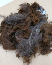 Alpaka Rohwolle Multifarben B Qualität