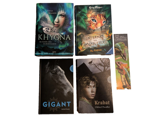 Jugendbücher set bände - set,