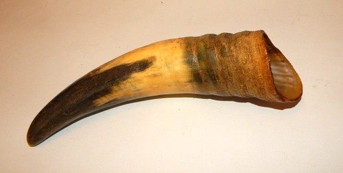 Altes kleines trinkhorn horn - trinkhorn,