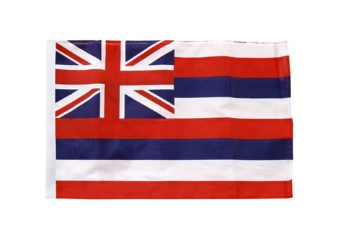 Usa hawaii banner - usa,