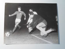 1.FC Köln-Panathinaikos Athen