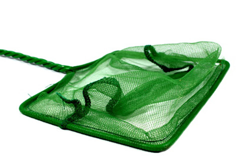 Fischnetz kescher - kescher,