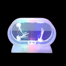 Jellyfish Colour Changing
