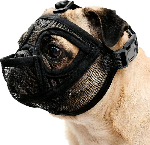 Maulkorb für kleine hunde - kleine,