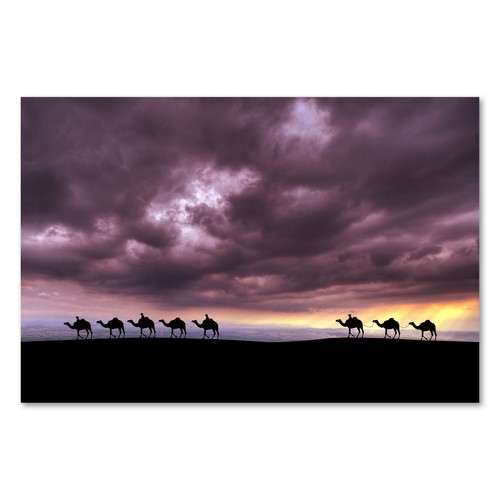 Postereck 1836 poster leinwand - poster,