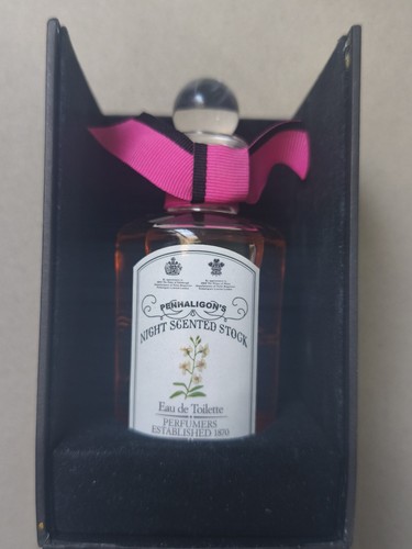 Night scented stock - scented,