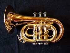 Taschentrompete mit Mundstück, Koffer, Zugfett & Maschinenöl - NEU