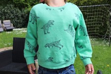 Pulli von H&M mit Dino-Motiv, Größe 110/116, 5/6 Jahre, Topzustand
