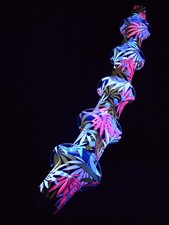 5m PSYWORK Schwarzlicht Deko