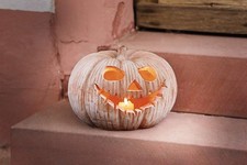 Windlicht "Kürbis" aus