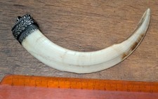 Wildschwein Eber Hauer Silber