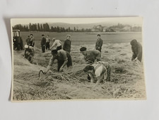 AK Landwirtschaft Traktor Ilmenau Thüringen