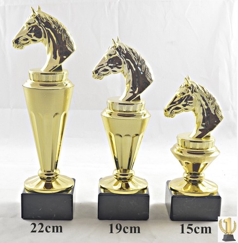 Reitsport-Pferde-Reiten