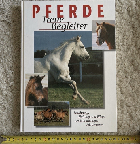 Pferde treue begleiter - –,