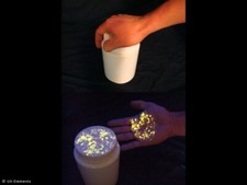 Unsichtbares Markierungspulver 50g (72€/100g) Schwarzlicht, Farbpulver, UV, Neon