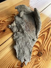 Großes Treibholz / Wurzelholz