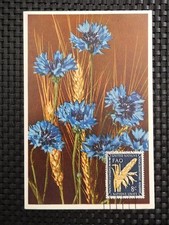 UNO NY MK 1954 FLORA WEIZEN GETREIDE KORNBLUME CEREALS MAXIMUM CARD MC CM a8132