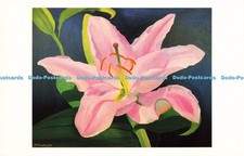 D203818 Blumenlilie nur