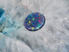 Schöne große Australische