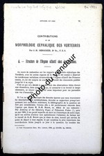 Ichthyologie: Derscheid, 1924