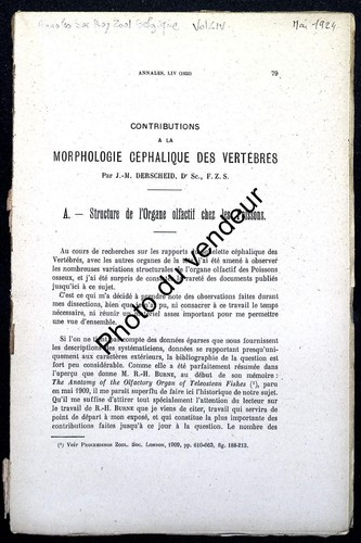 Ichthyologie derscheid 1924 - ichthyologie:, derscheid,