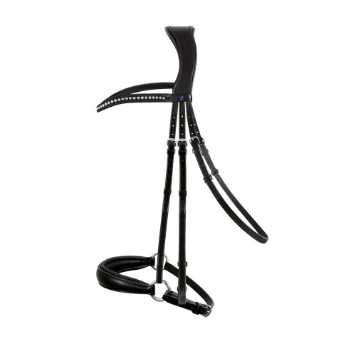 Passier blu trense spirit - blu,
