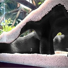 Eckaquarium Terrarium Versteck