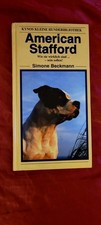 American Stafford Terrier –
