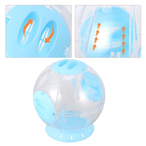 Plastic hamster activity - activity, ball