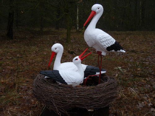 Storchennest nest störche - storchennest, 3
